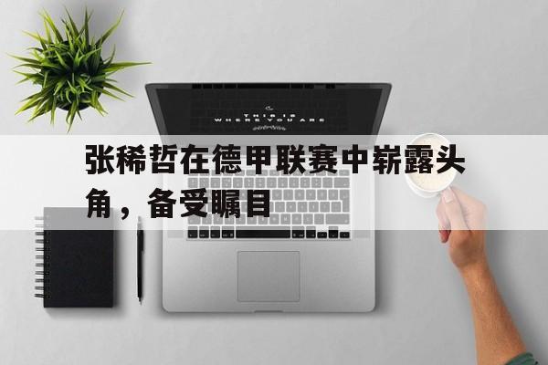 张稀哲在德甲联赛中崭露头角，备受瞩目